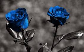 ceremonias simbólicas para bodas temáticas